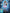 Déguisement Bloom fille - Winx Club