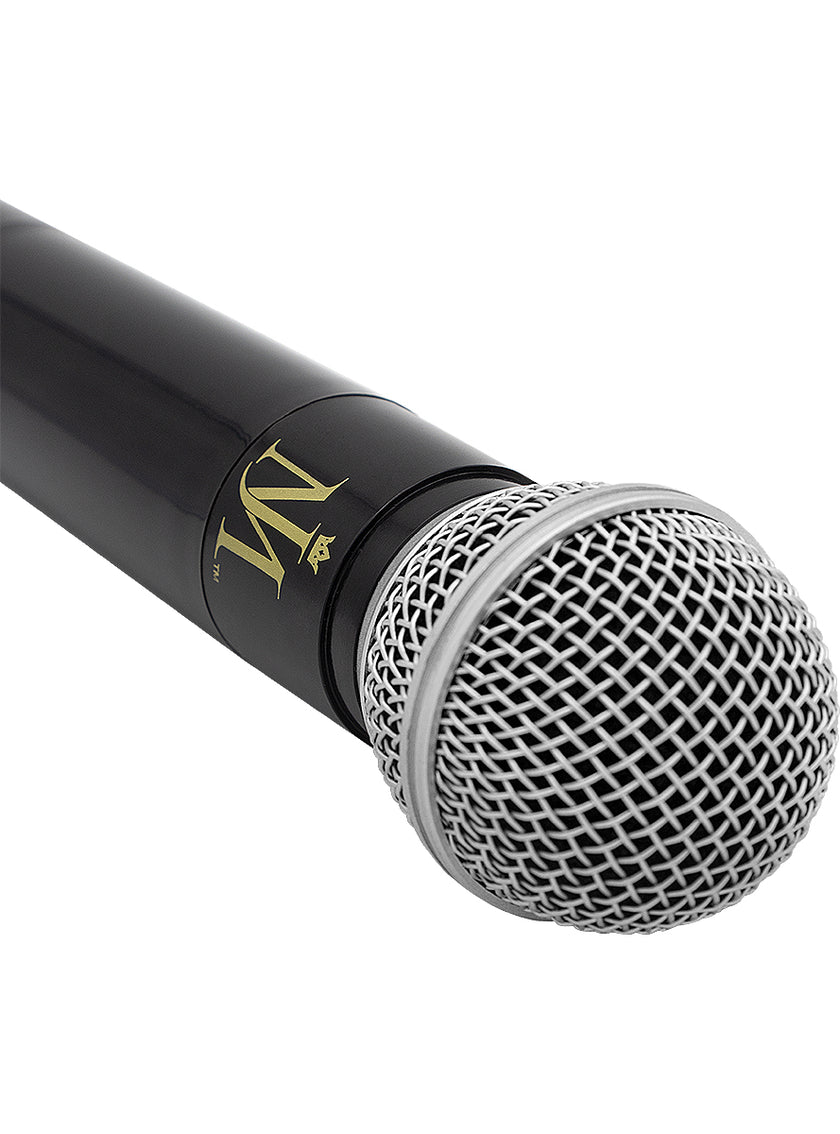 Micro et gant Michael Jackson