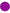 Kit décoration fête violet 8 personnes - Gamme couleur unie