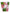Kit décoration fête de flamencos Premium 8 personnes - Tropical flamingos