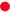 Kit décoration fête rouge Premium 8 personnes - Gamme couleur unie