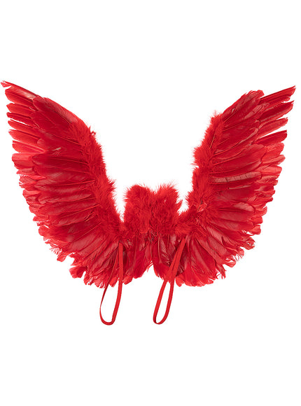 Ailes en plumes rouges