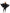 Ailes chauve-souris adulte