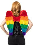 Ailes arc-en-ciel multicolores