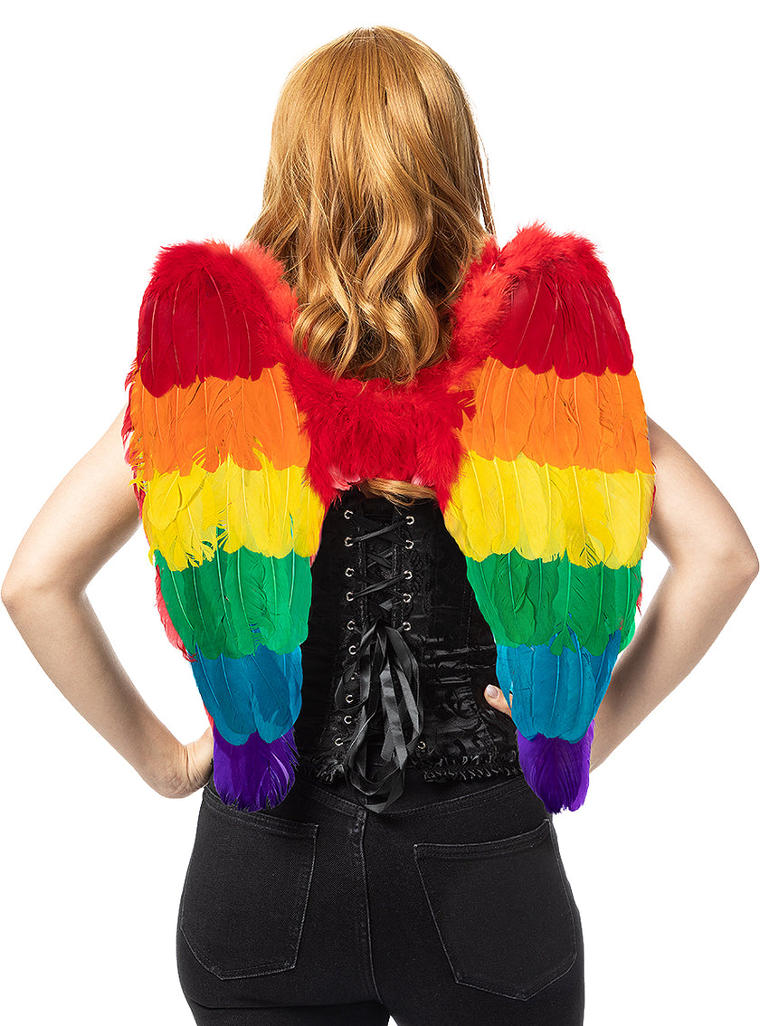 Ailes arc-en-ciel multicolores