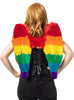 Ailes arc-en-ciel multicolores