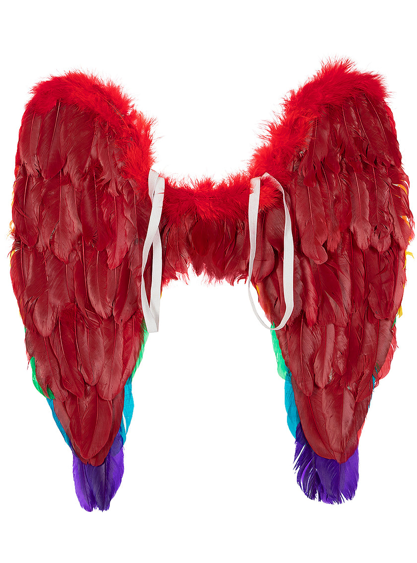 Ailes arc-en-ciel multicolores