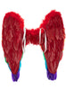 Ailes arc-en-ciel multicolores