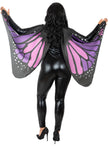 Ailes papillon adulte