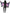 Ailes papillon adulte