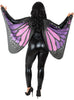 Ailes papillon adulte