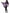 Ailes papillon adulte