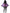 Ailes papillon adulte