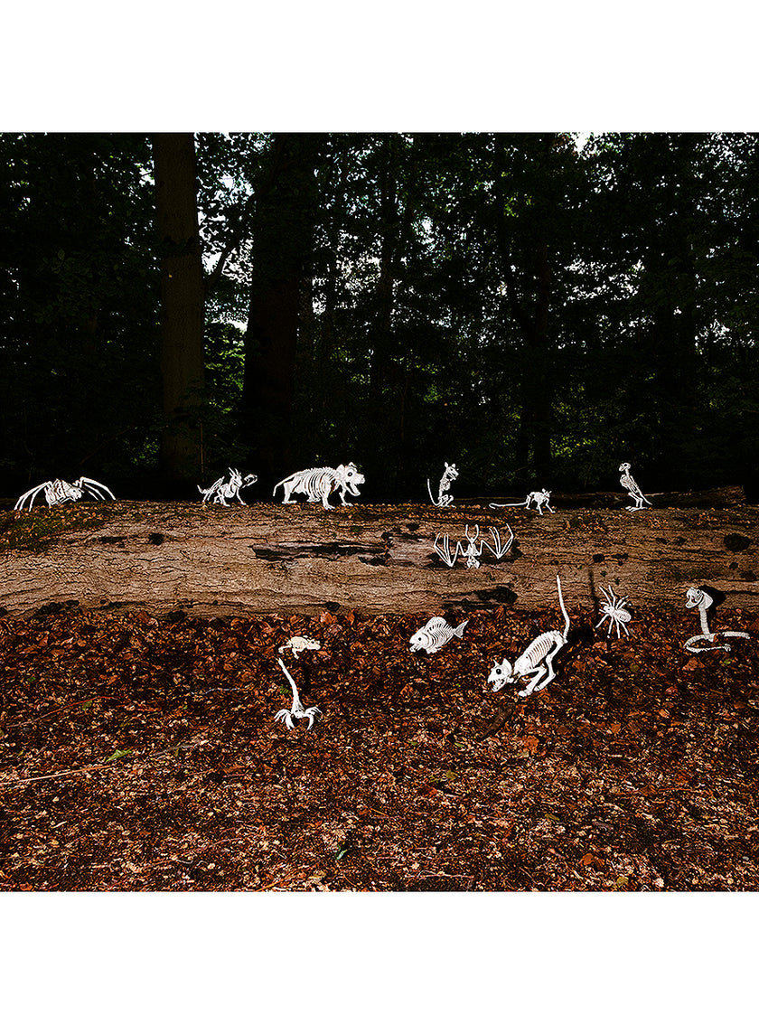 Figurine décorative araignée squelette