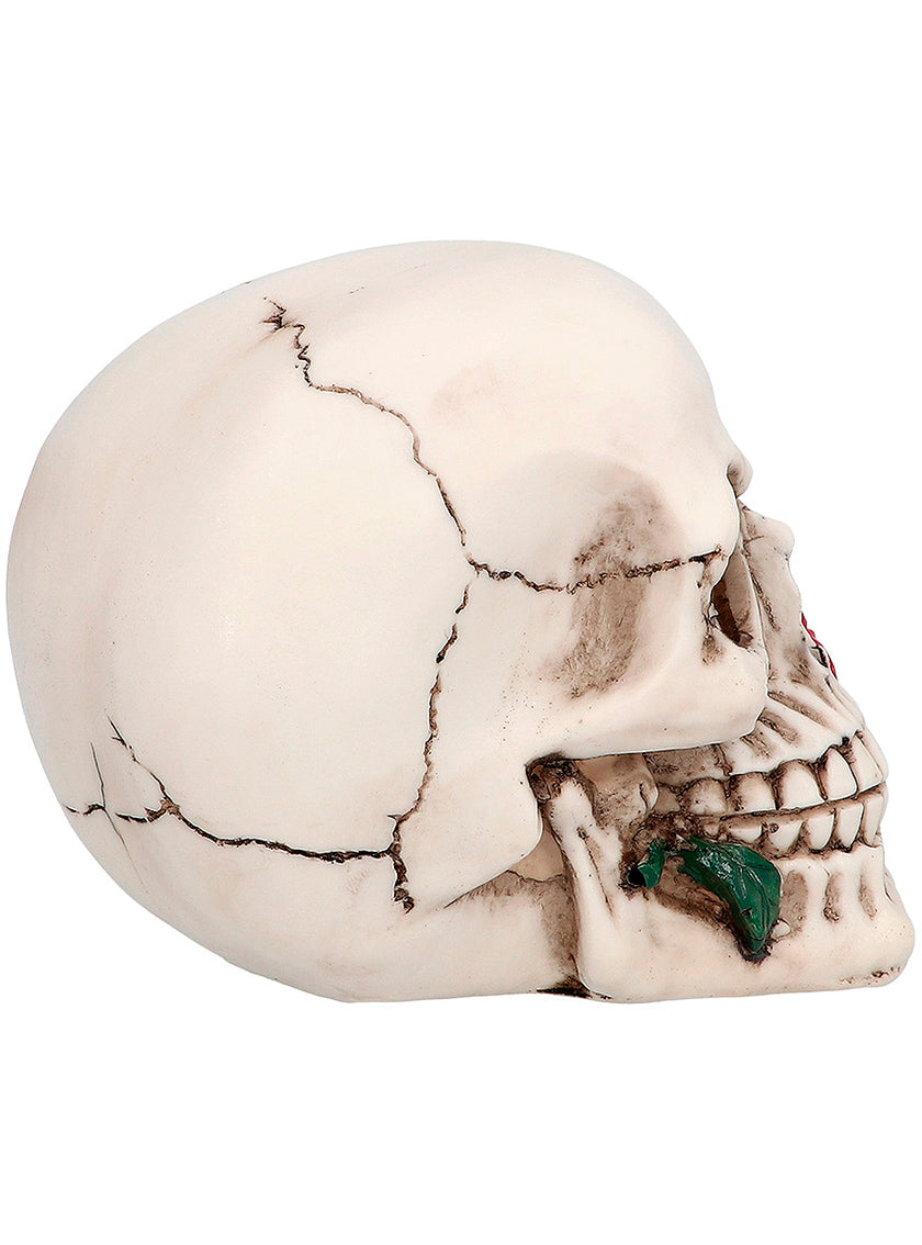 Crâne décoratif Mexique