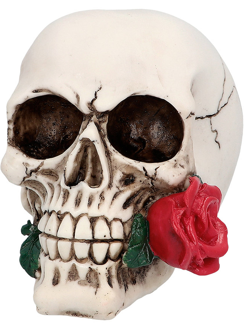 Crâne décoratif Mexique