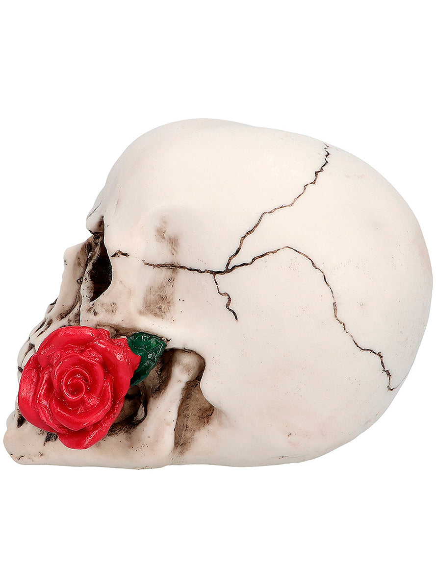 Crâne décoratif Mexique