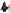 Poncho squelette vaudou femme