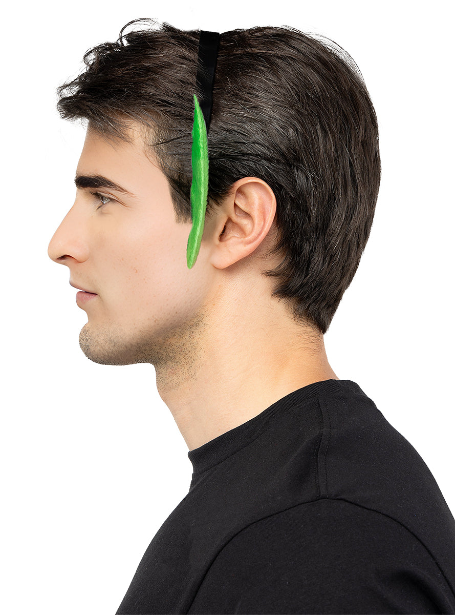 Oreilles d'extraterrestre