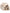 Figurine squelette astronomie