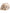 Figurine squelette astronomie