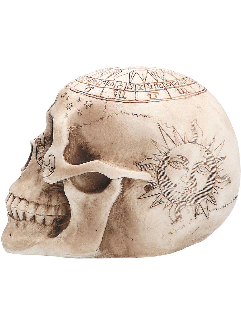 Figurine squelette astronomie