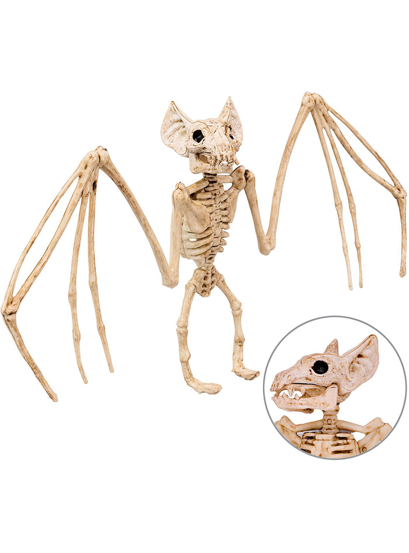 Squelette de chauve-souris