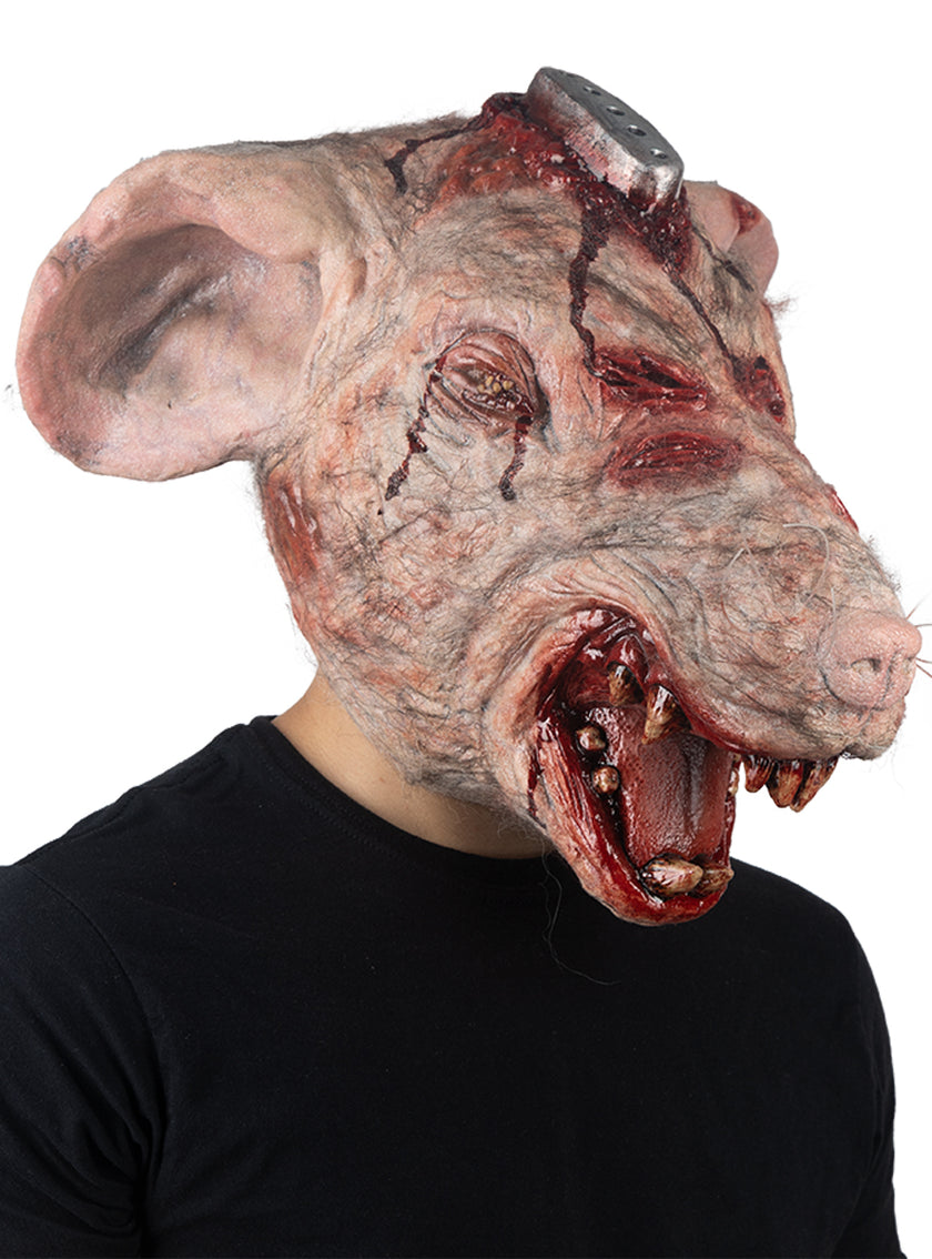 Masque de rat de laboratoire