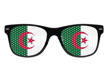 lunettes grille algerie