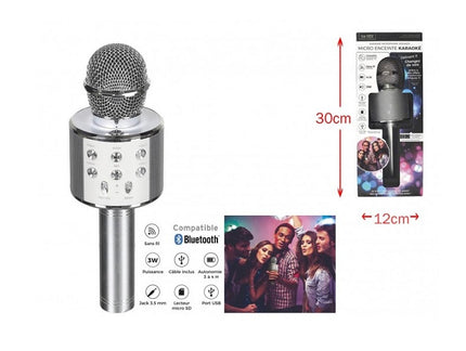 microphone enceinte karaoké sans fil 3w 23cm