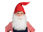 fausse barbe de nain/lutin grise