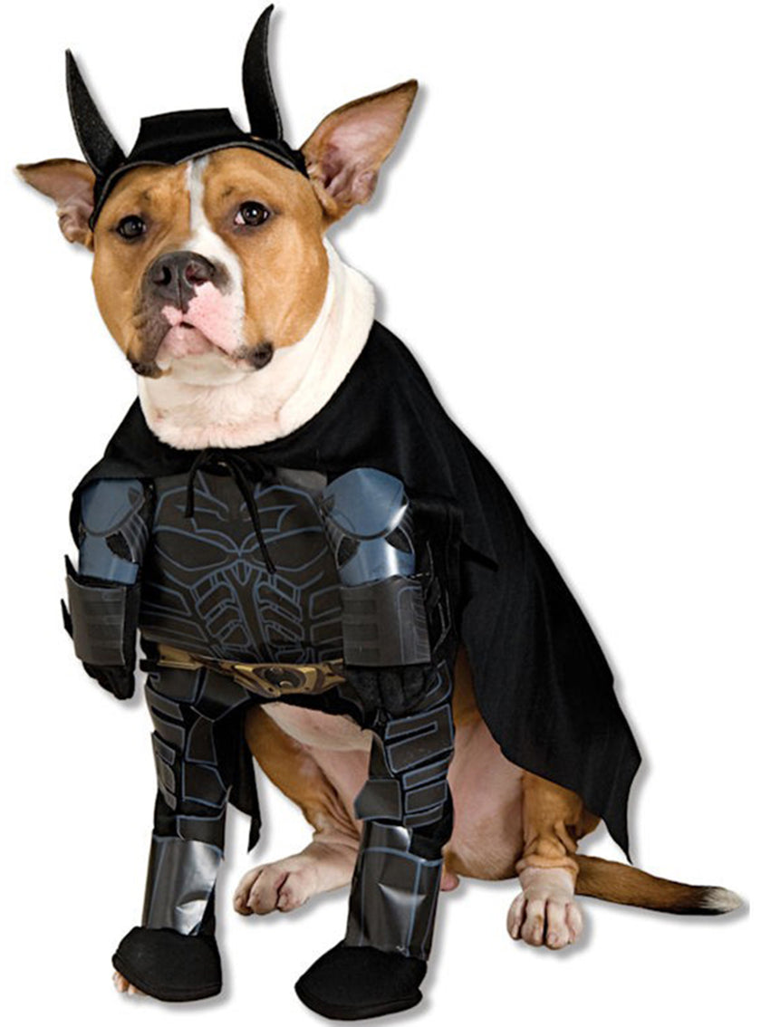 Déguisement de Batman The Dark Knight Rises pour chien
