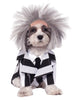 Déguisement Beetlejuice chien