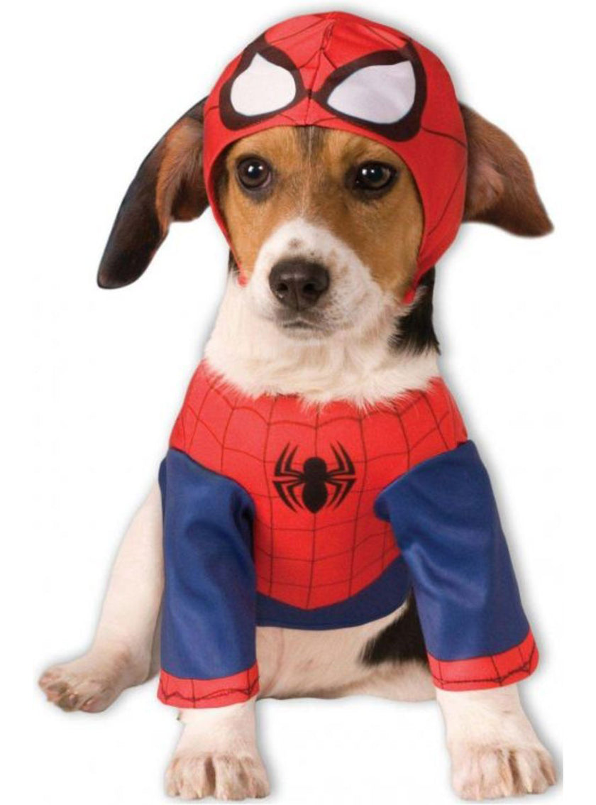 Déguisement de Spiderman pour chien