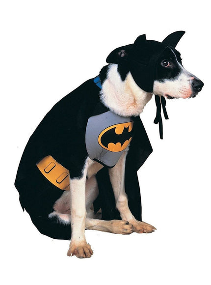 Veste Batman chien