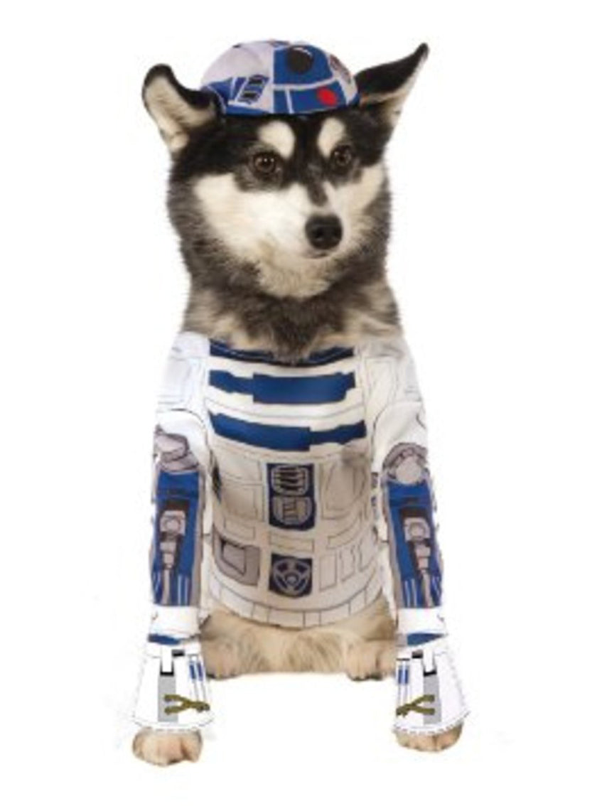 Déguisement R2D2 chien