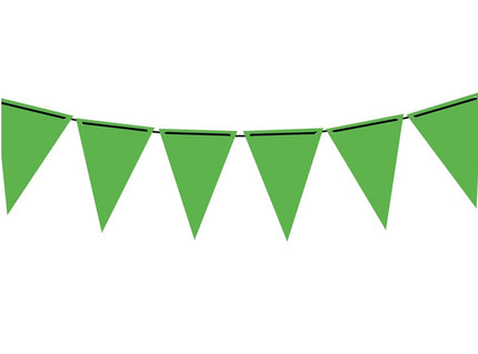 guirlande 10 fanions 27x19cm néon fluo vert 3m