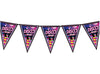 guirlande 10 fanions 30x20cm motif disco fever 3m