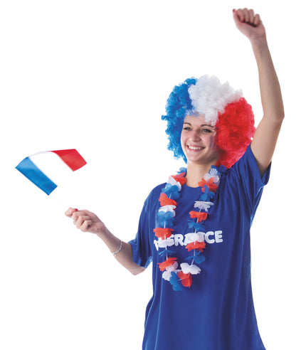 DRAPEAU FRANCE 14X21CM
