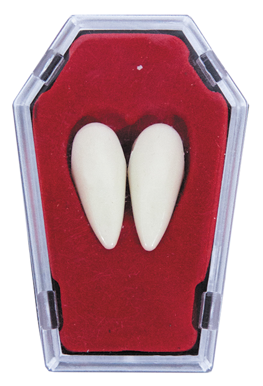 2 CANINES DE VAMPIRE DANS CERCUEIL (nécessaire de fixation inclus)