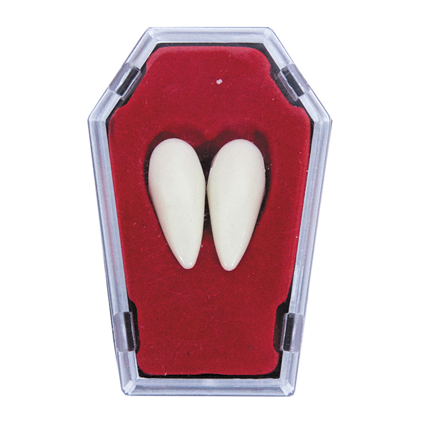 2 CANINES DE VAMPIRE DANS CERCUEIL (nécessaire de fixation inclus)