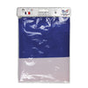 DRAPEAU FRANCE 60x90CM