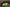 lentilles de contact uv fluo vert 12 mois