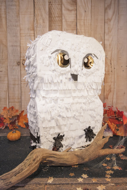PINATA CHOUETTE BLANCHE APPRENTI SORCIER