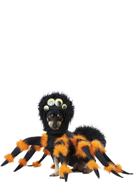 Déguisement terrifiante araignée chien