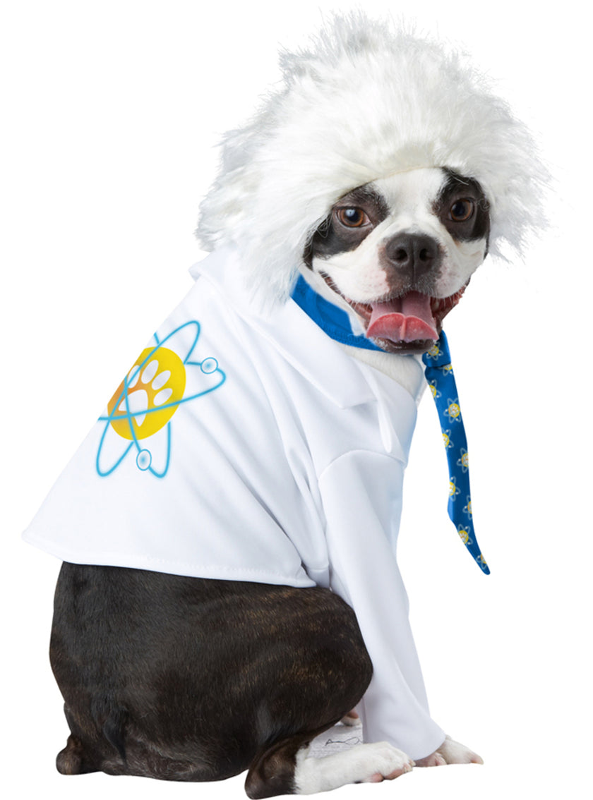 Déguisement Einstein pour chien