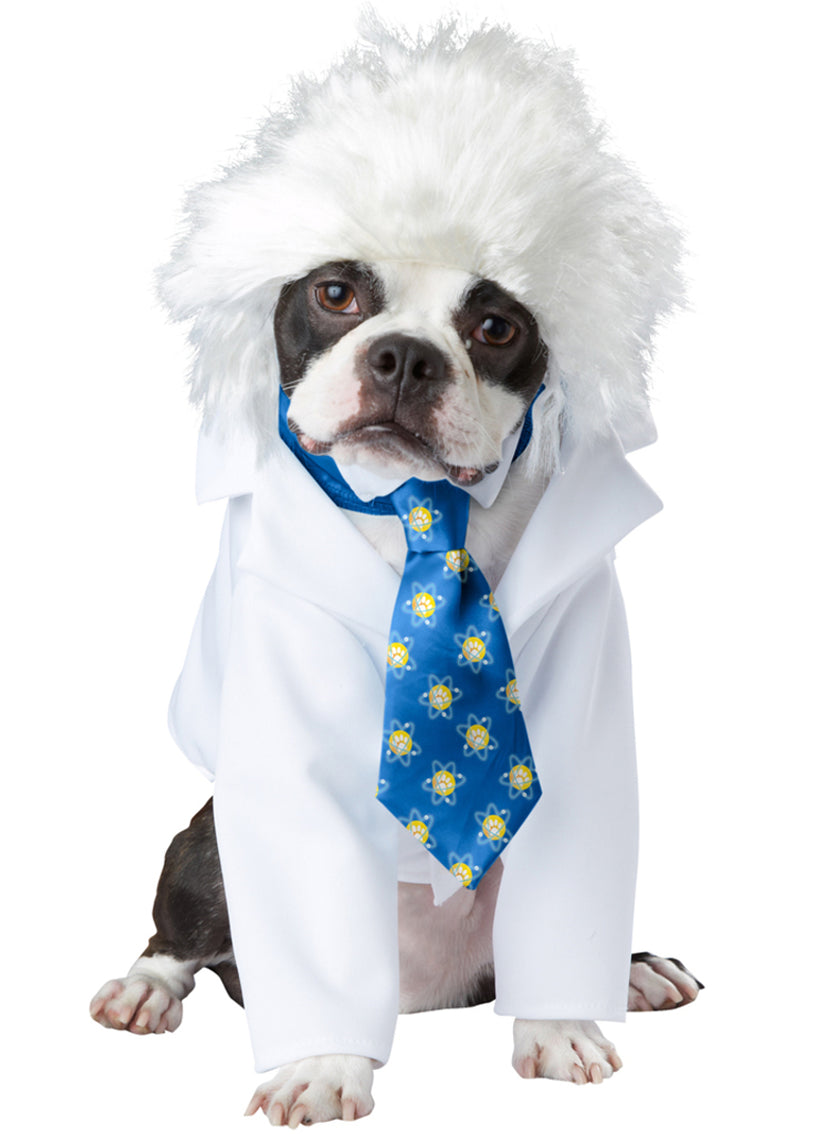Déguisement Einstein pour chien