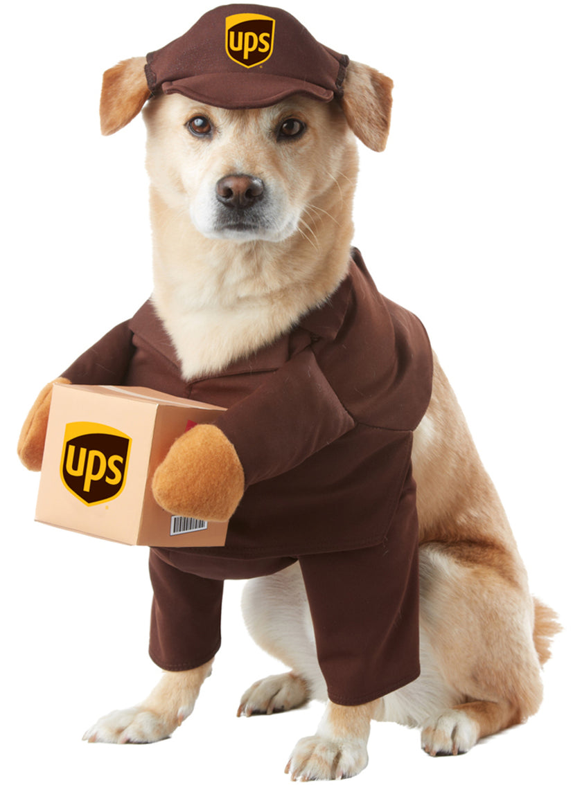 Déguisement livreur UPS chien
