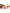 Faux-cils multicolore femme