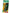 Tube de maquillage vert 20 cc